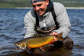 Wedge Hills Lodge / Golden Peninsula Tours